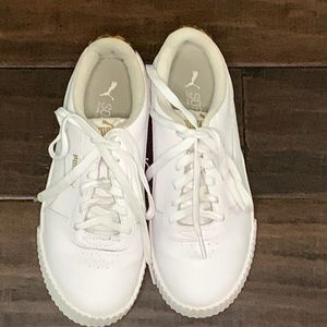White puma’s